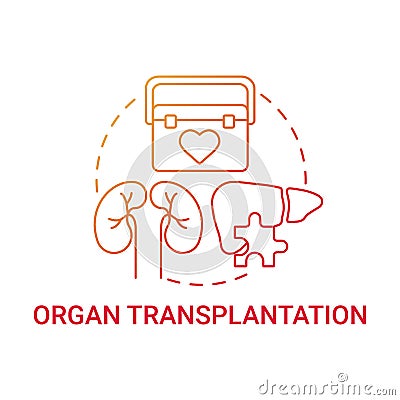 Organ transplantation red gradient concept icon Vector Illustration