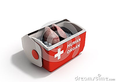 Organ transportation concept open human organ refrigerator box r Stock Photo