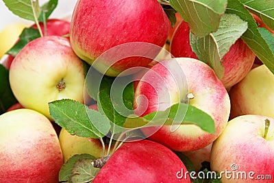 Organic apple Stock Photo