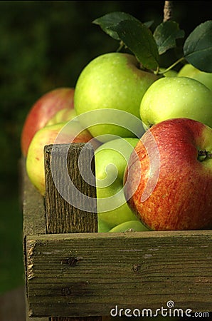 Organic apples Stock Photo