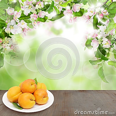 Organic apricot fruits on abstract soft focus background Stock Photo