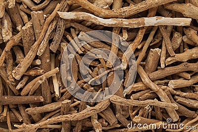 Organic Ashwagandha (Withania somnifera) roots. Stock Photo