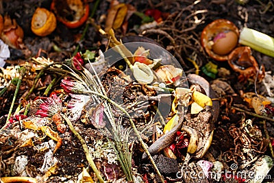 Organic biological kitchen waste Stock Photo