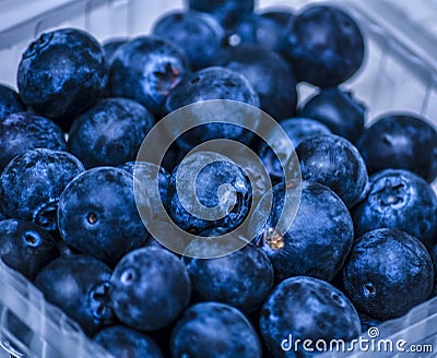 Organic Blueberry Fresh Stock Photo