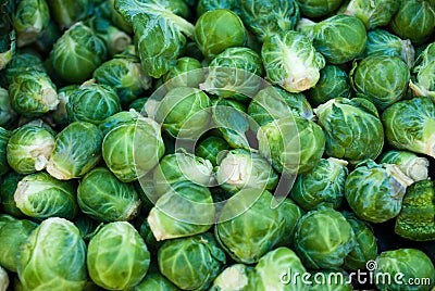 Organic Brussels Sprouts Stock Photo