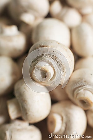 Organic button mushrooms Stock Photo