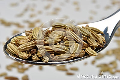 organic caraway seed on a spoon Stock Photo