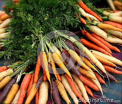 Organic Carrots Stock Photo