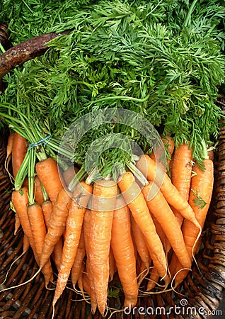 Organic Carrots Stock Photo