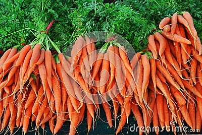 Organic Carrots Stock Photo