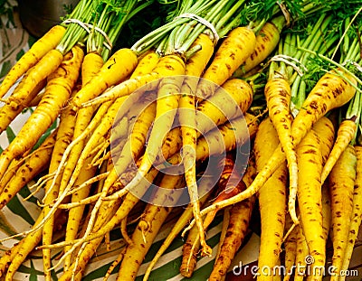 Organic Carrots Stock Photo