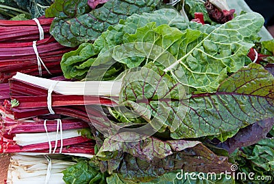 Organic Chard Stock Photo