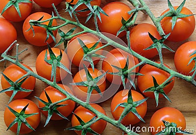 Organic cherry tomato Stock Photo