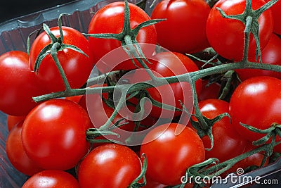 Organic cherry tomatoes Stock Photo