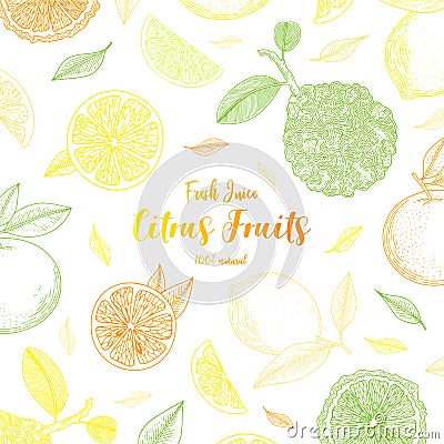 Organic citrus fruit banners. Healthy food. Engraving sketch vintage style. Vegetarian food for design menu, recipes Vector Illustration