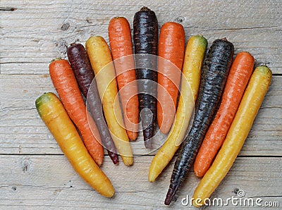 Organic colored yellow, red, orange and purple carrots Stock Photo