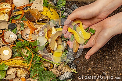 organic compost - biodegradable kitchen waste and soil Stock Photo