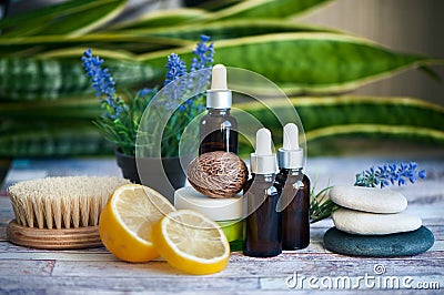 Organic cosmetics, natural fruit oils. Concept spa, skin care, e Stock Photo