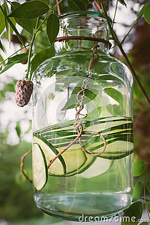 Organic Cucumber Water Stock Photo