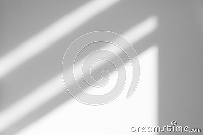 Organic drop shadow on a white wall Stock Photo