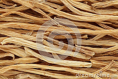 Organic dry shatavari (Asparagus racemosus) sticks. Stock Photo