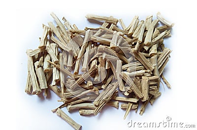 Organic dry shatavari Asparagus racemosus sticks. It used in traditional Indian medicine. The root is used to make medicine. Stock Photo