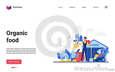 Organic eco food landing page, farmer harvesting for sale in agricultural market Vector Illustration