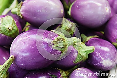 Organic Eggplant Stock Photo