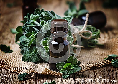 Organic essential oregano oil in a glass jar and a bunch of fresh marjoram, vintage wooden background, selective focus Stock Photo