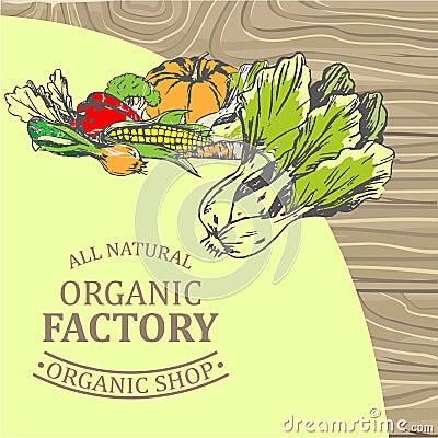 Organic Factory Shop with Only Natural Products Vector Illustration