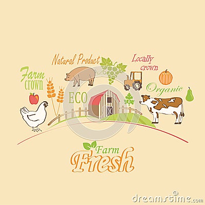 Organic and farm, vector concept. Vector Illustration