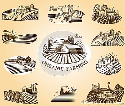 Organic farming design elements. Vector Illustration