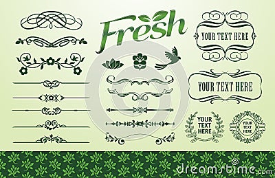 Organic fillet set Vector Illustration