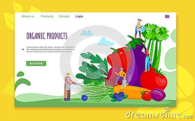 Organic flat product concept, vector illustration. Vegetable healthy food for people character, fresh farmer fruit Vector Illustration