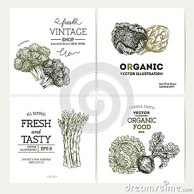 Organic food banner collection. Fresh Vector Illustration