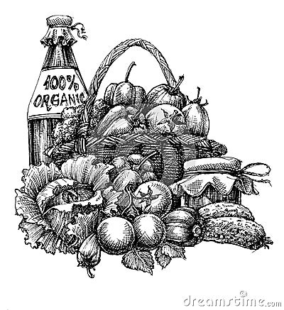 Organic food design Vector Illustration