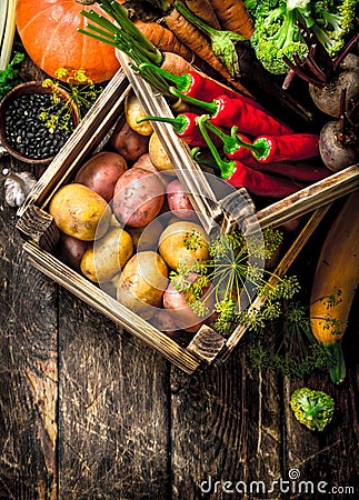 Organic food. Harvest of fresh vegetables in old boxes. Stock Photo