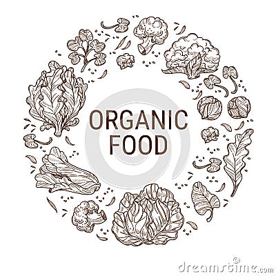 Organic food, healthy dieting and eating vector Vector Illustration