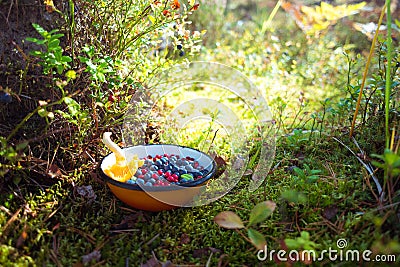 Organic food picked up in the forest. Blueberries and lingonberries with chanterelle mushroom in bowl on among moss Stock Photo