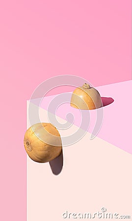 Organic fresh butter squash seats on the corner of the table. Pastel coral, pink and beige background. Still life abstract Stock Photo