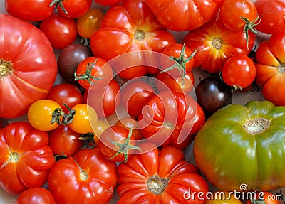 Organic Fresh Ripe Tomatoes, top view Stock Photo