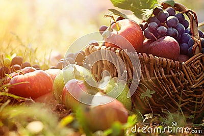 Organic fruit in summer grass Stock Photo