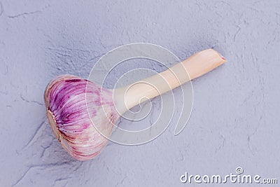 Organic garlic bulb with stem. Stock Photo