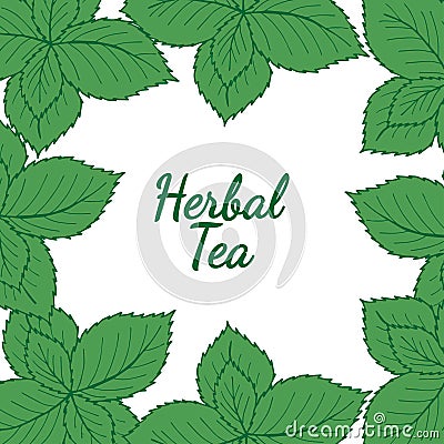 Mint liner in color, herbal tea Vector Illustration