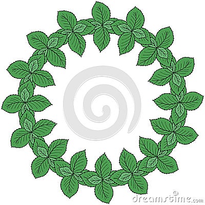 Mint liner in color, round frame 1 Vector Illustration