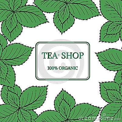 Mint liner in color, tea shop Vector Illustration