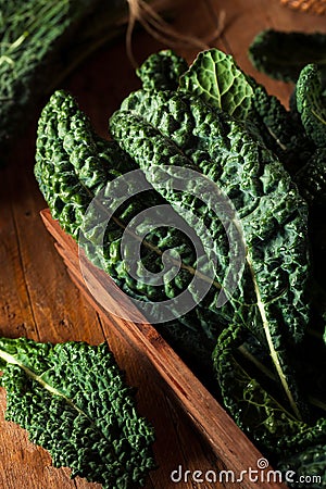 Organic Green Lacinato Kale Stock Photo