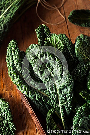 Organic Green Lacinato Kale Stock Photo
