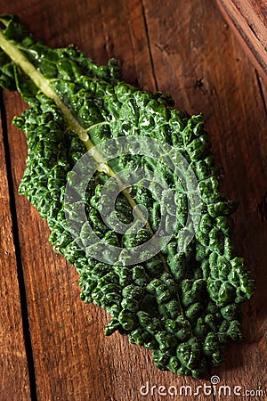 Organic Green Lacinato Kale Stock Photo