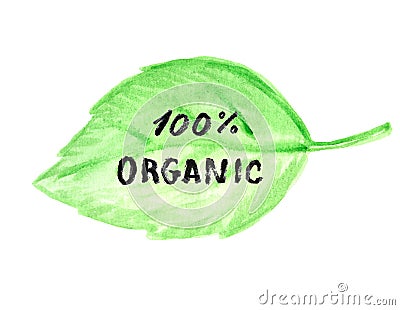 Organic 100% green leaf background Stock Photo